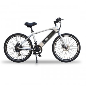 ebike2